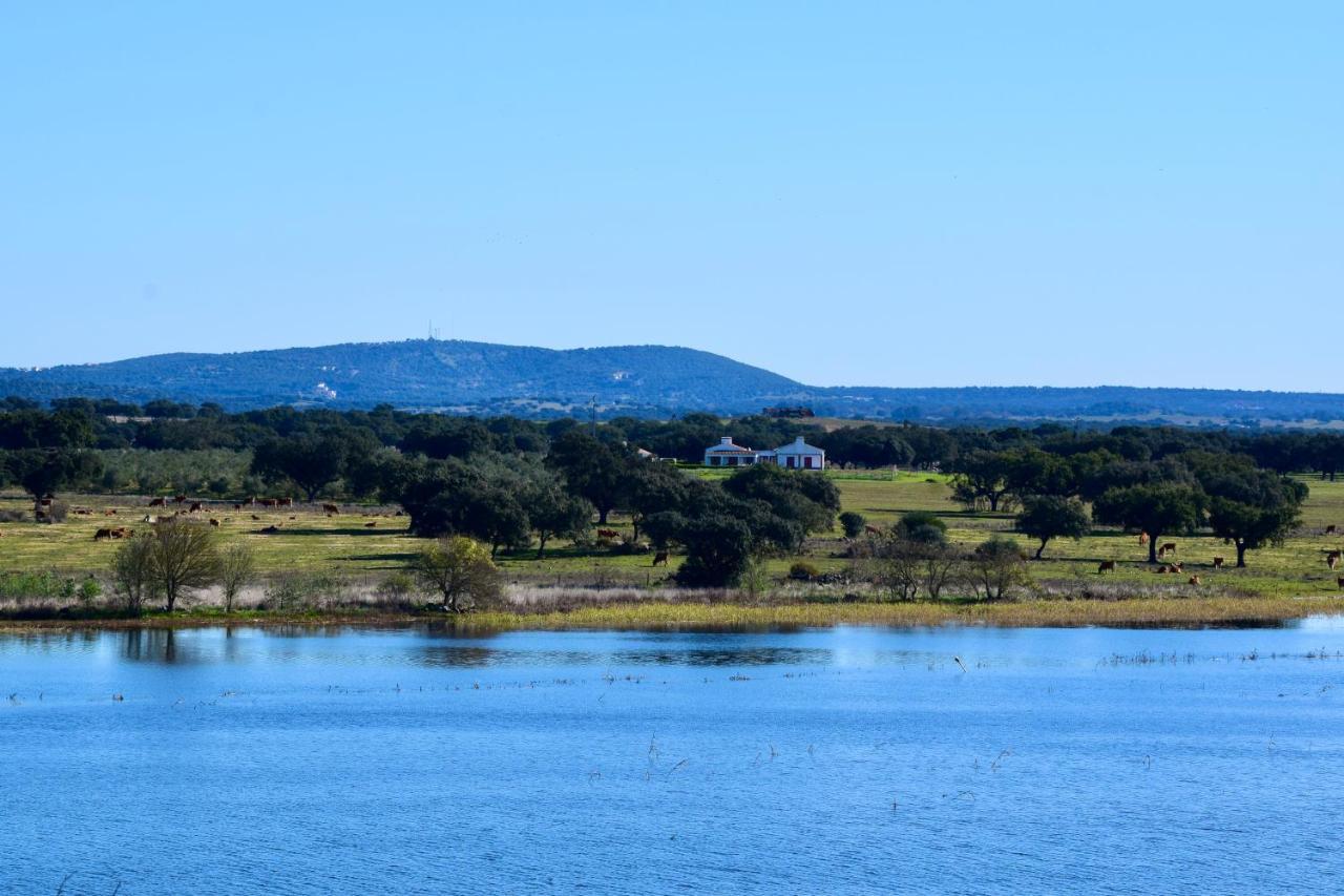 Herdade Da Burquilheira Family Retreat Alcáçovas Zewnętrze zdjęcie