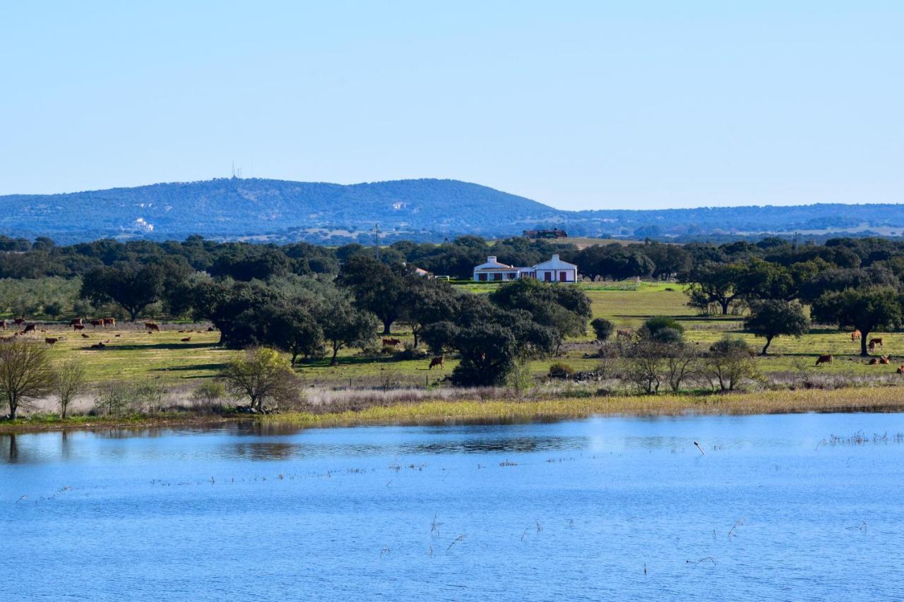 Herdade Da Burquilheira Family Retreat Alcáçovas Zewnętrze zdjęcie