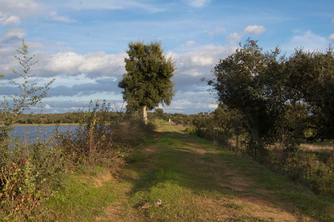 Herdade Da Burquilheira Family Retreat Alcáçovas Zewnętrze zdjęcie