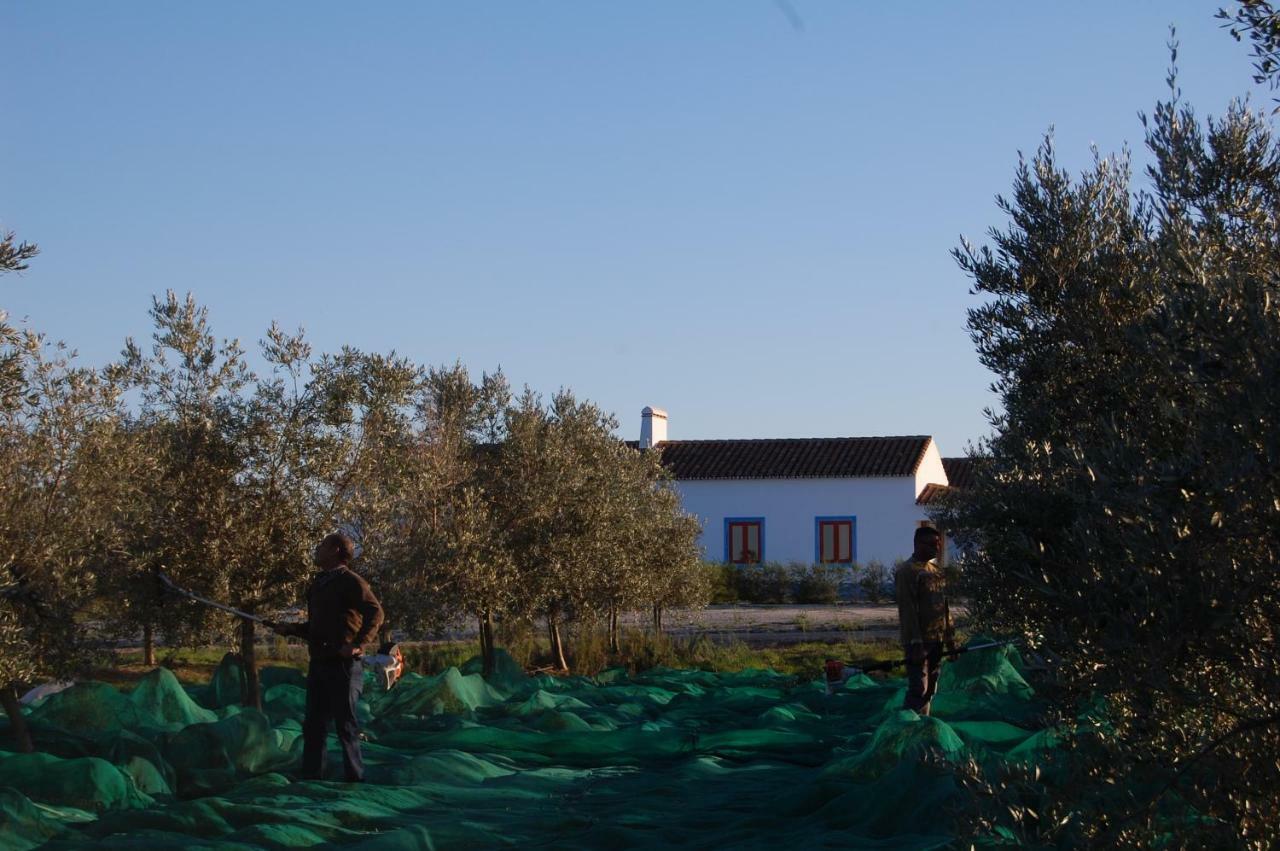 Herdade Da Burquilheira Family Retreat Alcáçovas Zewnętrze zdjęcie